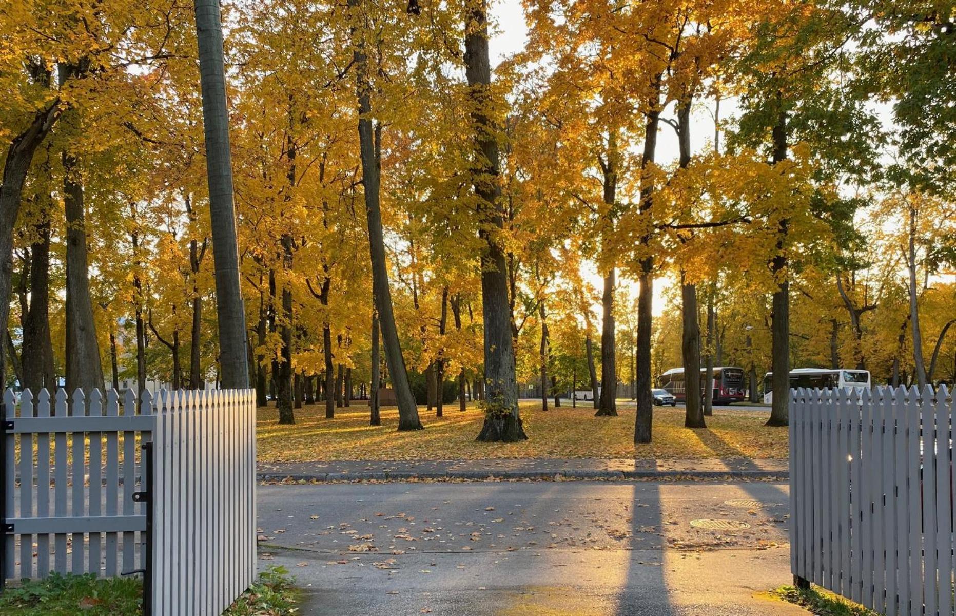 Vanapargi Apartments パルヌ エクステリア 写真